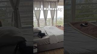 004 Found A Best Homestay Near Batasia Loop  darjeeling hotel low price Hyper Life [upl. by Bethezel681]