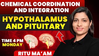 Hypothalamus and Pituitary  Chemical Coordination and Integration Detailed class  Ritu Rattewal [upl. by Akinet]