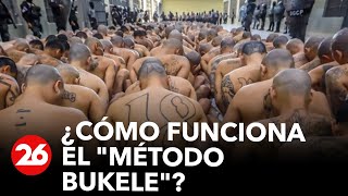 ¿Cómo funciona el quotMétodo Bukelequot y cómo repercute en el mundo [upl. by Heydon24]