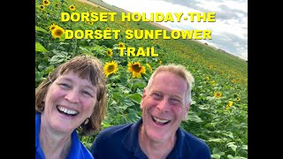 DORSET HOIDAY  VISITING THE DORSET SUNFLOWER TRAIL [upl. by Erot]