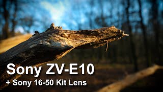 Sony ZV E10  1650mm Kit Lens  Cinematic Video Footage [upl. by Franzen]