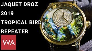 Jaquet Droz 2019 Handson the new Tropical Bird Repeater [upl. by Salmon]