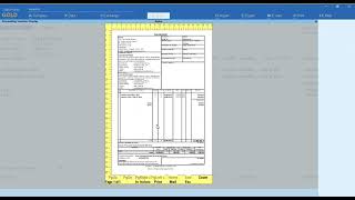 Tally Add On  Dynamic New Column Addition for Stock Item in Voucher Entry in TallyPrime software [upl. by Erl]