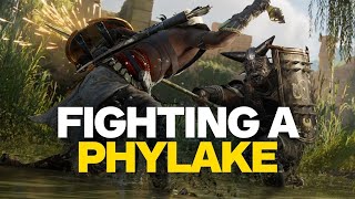 Assassins Creed Origins  Fighting A Phylake in 4K [upl. by Aniles885]