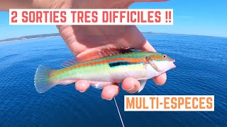 MULTIESPÈCES devant FRONTIGNAN  Le poisson est TRÈS DIFFICILE [upl. by Irafat]