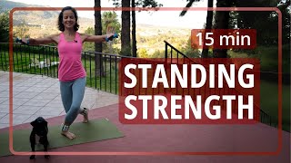 Improved Strength amp Perfect Posture  15 min Standing Pilates Workout [upl. by Honorine204]