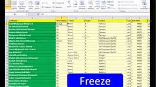 Advanced Excel 2010 Video 32 Freeze MrAhmed Hafez  تجميد صف او عمود [upl. by Collyer]