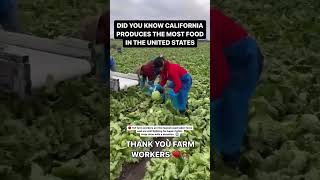 Thank you farm workers california [upl. by Arluene]