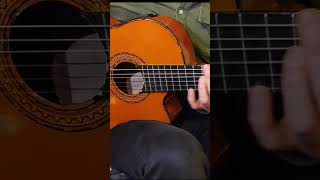 Elfida Gitar Giriş kısımı [upl. by Eedia]