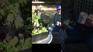 3 ingredients to start a garden gardening growyourownfood garden [upl. by Trillby]