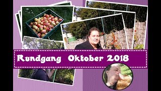 Garten Rundgang Okt2018 [upl. by Sadoc]