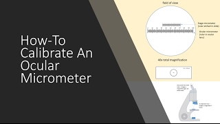 Calibration of Microscopic Ocular Micrometer [upl. by Gladi37]