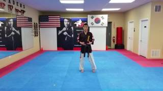 Taekwondo  White Belt Form [upl. by Cathyleen]