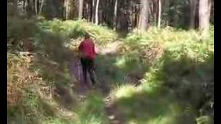 Nordic Walking Speed Power Abnehmen aber mitVernunft [upl. by Oicam]