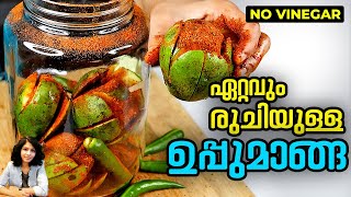 Manga Uppilittathu  Mango Pickle Recipe Without Vinegar Malayalam  Manga Achar [upl. by Aranaj]