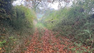 Pentridge hill trail run [upl. by Eaton]