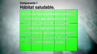 Plan Decenal de Salud Pública Dimensión1 Salud Ambiental [upl. by Ahsat]