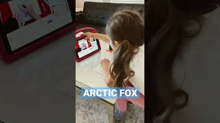 Arctic Fox drawing shorts shortsvideo kids art drawing [upl. by Wilma]