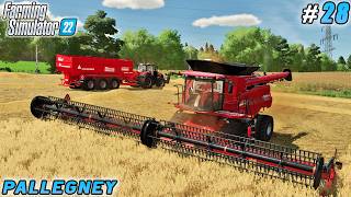 From Field to Mill Wheat Harvest amp Sunflower Oil Productione  Pallegney Farm  FS 22  ep 28 [upl. by Nnyltak130]