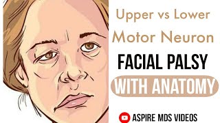 Facial Palsy  Upper vs Lower Motor Neuron  Facial Nerve Anatomy  Dr Bhaumik Joshi  Aspire MDS [upl. by Hgeilhsa]