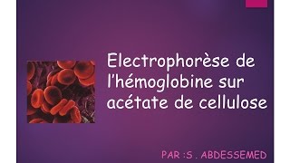 Électrophorèse de lhémoglobine sur acétate de cellulose [upl. by Lesoj]