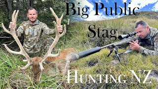 Big Public Land Red Stag Hunting NZ [upl. by Odracir]