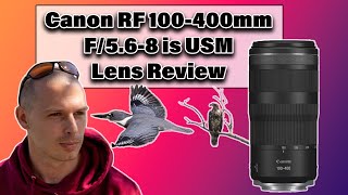 Canon RF 100400mm F568 is USM Lens Review  Wildlife Photography amp 4K Video Examples  Canon R6 [upl. by Swan]