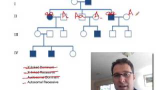 Pedigree Analysis 1 How to solve a genetic pedigree No 1 [upl. by Adalard]