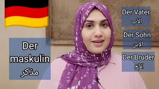 أهم قاعدة في اللغة الألمانية der das die 🇩🇪 الأدوات، Artikel تعليم الألمانية للمبتدئين [upl. by Eceer]