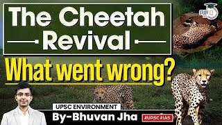 Indias Cheetah Reviving Plan Cheetah from Namibia Dies in Kuno National Park  UPSC Mains [upl. by Hyatt558]