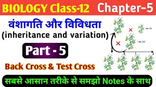 Biology class 12 ch 5  inheritance and variation  back cross test cross  test cross and backcross [upl. by Joelly]