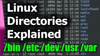 Linux File SystemStructure Explained [upl. by Ahsima]