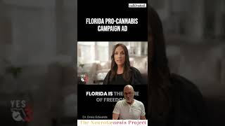 Why We Will Vote NO on Florida Amendment 3 [upl. by Arec658]