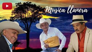 MUSICA LLANERA reinaldoarmas viticocastilloluissilva escarletlinares llaneras llanera [upl. by Yadrahs]