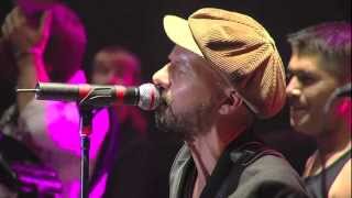 Shantel amp The Bucovina Club Orkestar Live  Disko Boy  Sziget 2012 [upl. by Oicelem]