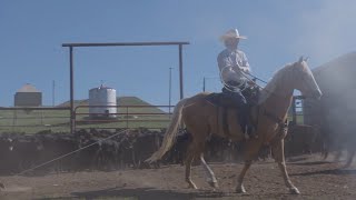 Chancey Williams From Ranch to Stage [upl. by Tolmach]