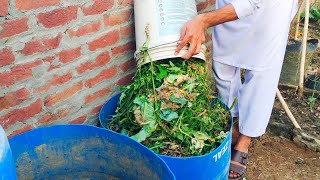 Create a GardenFriendly OdorFree Compost Bin in Any Shady Space [upl. by Dewain]