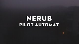 Nerub  Pilot automat [upl. by Koffler]