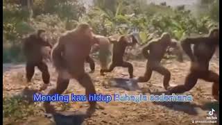 LAGU KOCAK MISKIN BANYAK GAYA [upl. by Aronal]