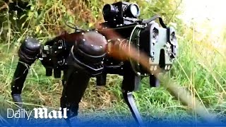 British Army introduces robotic dogs equipped to deploy by parachute [upl. by Arundel]