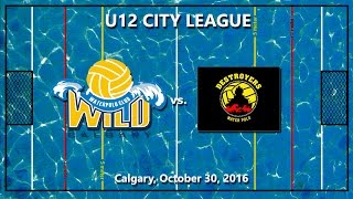 Wild  Destroyers Water Polo U12 City League [upl. by Medina]