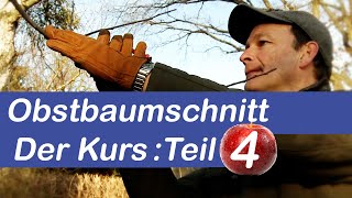 Obstbaumschnitt Der Kurs  Obstbaum schneiden Schritt für Schritt erklärt  Teil 4 [upl. by Bromley]