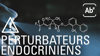 Perturbateurs endocriniens les enfants contaminés ABERTS [upl. by Hallutama535]