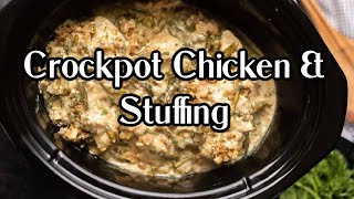 Amazing Crock Pot Chicken and Stuffing [upl. by Ldnek804]