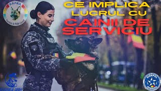 🐕 SPC Ce implică lucrul cu un câine de serviciu ❓ [upl. by Ttezzil]