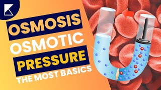 Osmosis and Osmotic Pressure Explained in less than 2 mins  Easy Science for Everyone Koncise [upl. by Yecam283]