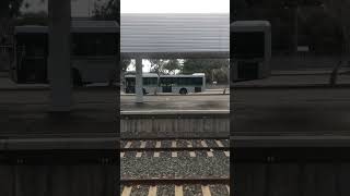 Transperth Buses At East Perth Terminal [upl. by Felton243]