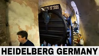 Heidelberg Germany  Worlds LARGEST Wine Barrel  Oakland Travel [upl. by Anomahs]