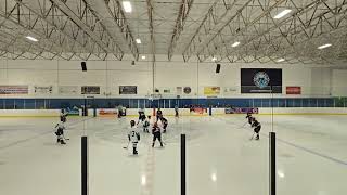 Portland Jr Winterhawks 12U Travel Black vs Richmond Jets [upl. by Ynnod]