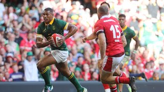 Springboks v Wales HIGHLIGHTS  Qatar Airways Cup 2024 [upl. by Annawot]